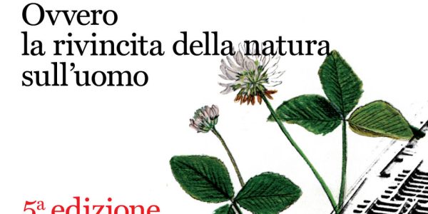 493842622_1283795696755249_4222212172104513247_n